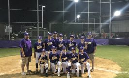 Wylie Little League