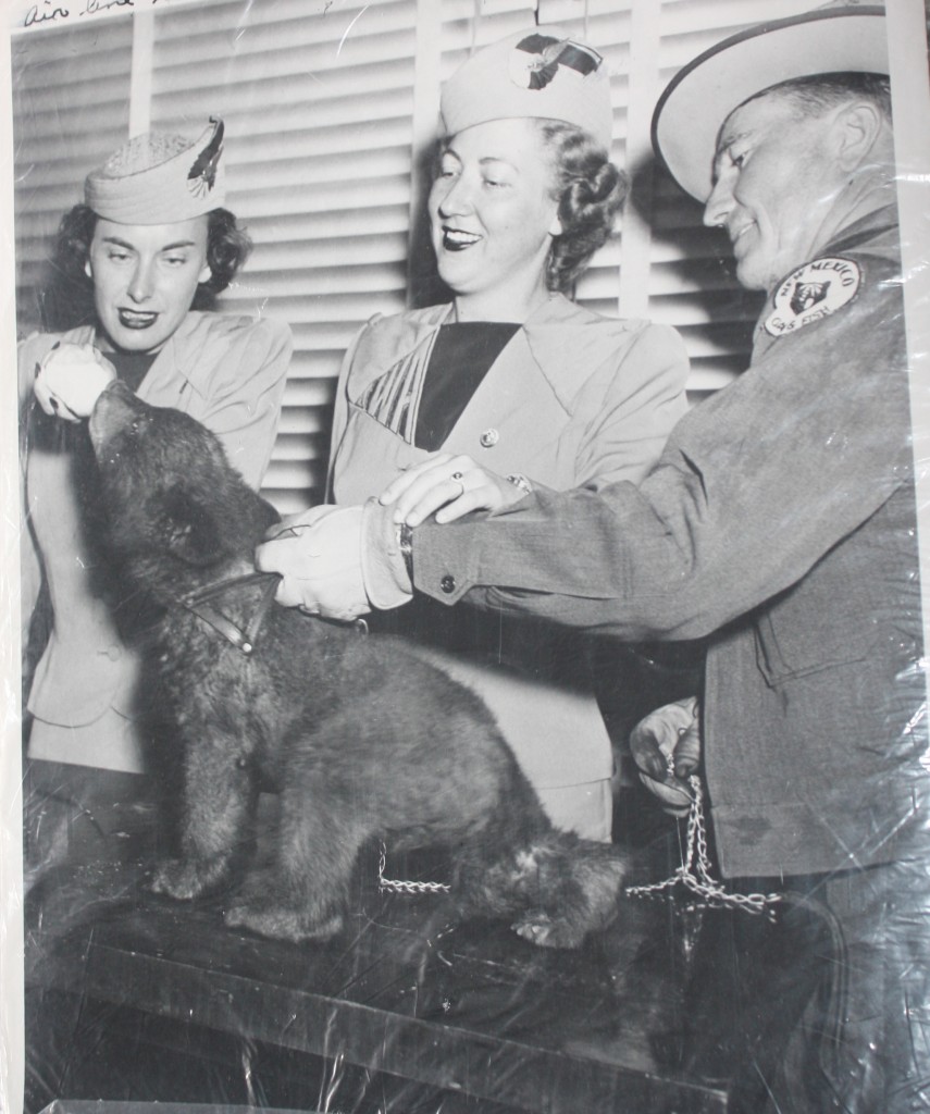 This picture from Homer Pickens collection shows Homer with some airline stewardesses at the airport in Washington, D.C. The stewardesses are feeding Smokey.