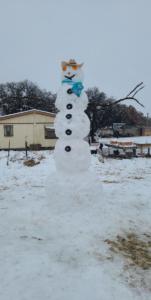 Snowman 3